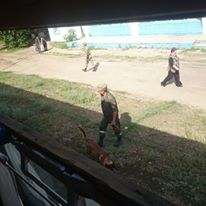 13445265_1024675527586730_7676154509480697754_n